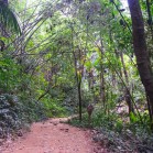 Лам Нам Кок - тропинка сквозь джунгли