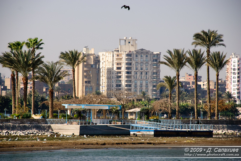 DSC_4897.jpg