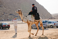 Th_dsc_4904