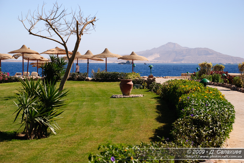 DSC_4655.jpg