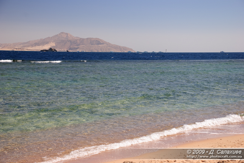 DSC_4658.jpg