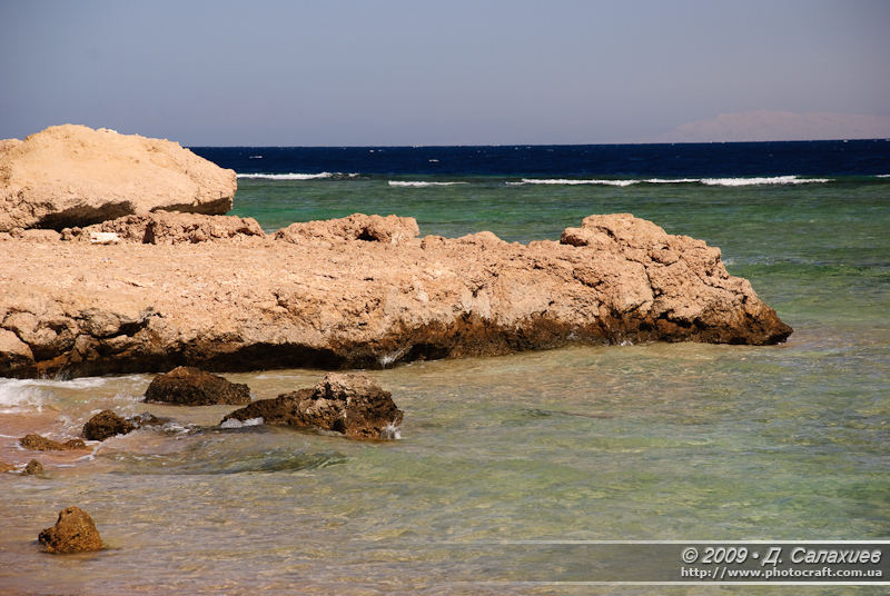 DSC_4659.jpg
