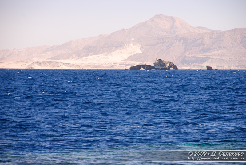 DSC_4665.jpg