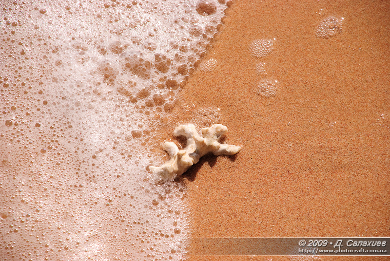 DSC_4674.jpg