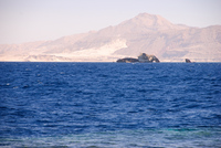 Th_dsc_4665