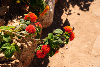 Th_dsc_4683