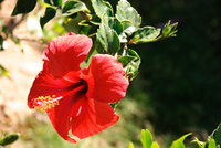 Th_dsc_4689