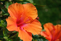 Th_dsc_4967