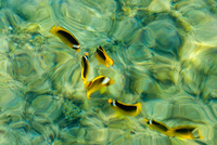 Th_dsc_5105