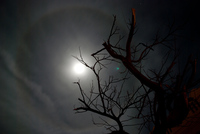 Th_dsc_5131