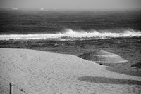 Th_dsc_5340
