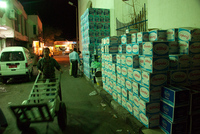 Th_dsc_4746