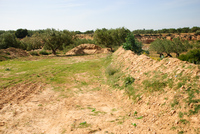 Th_dsc_6901