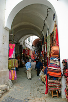Th_dsc_7627