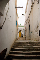 Th_dsc_7637