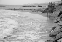 Th_dsc_7545