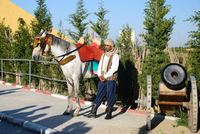 Th_dsc_6542