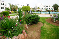Th_dsc_7296