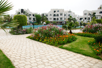 Th_dsc_7299
