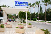 Th_dsc_7305