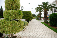 Th_dsc_7313