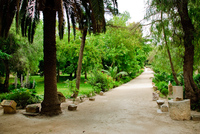 Th_dsc_7675