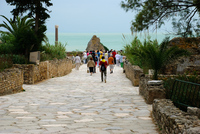 Th_dsc_7694