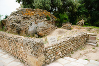 Th_dsc_7696