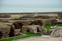 Th_dsc_7699