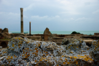 Th_dsc_7711