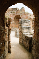 Th_dsc_7725