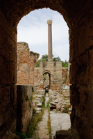 Th_dsc_7782