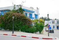 Th_dsc_7889