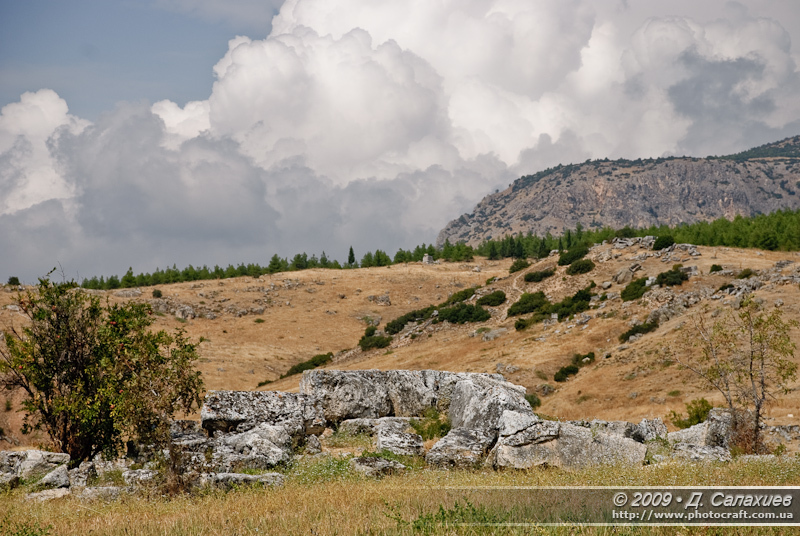 DSC_0290.jpg