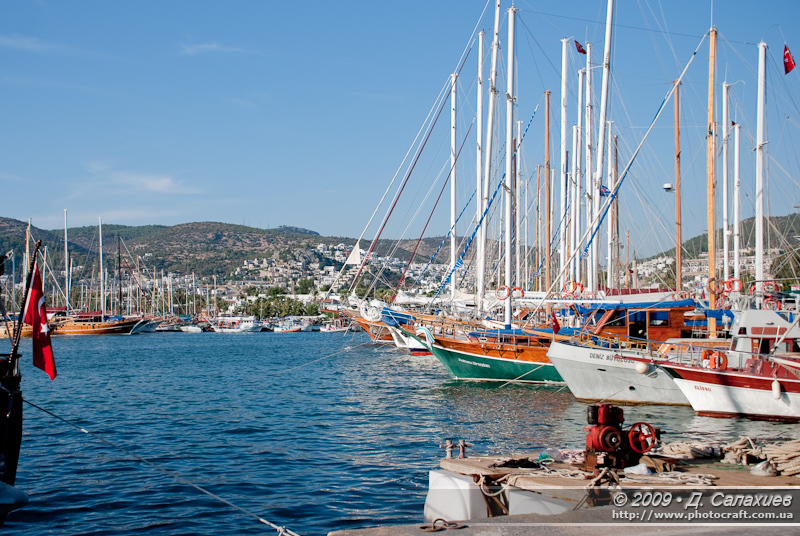 DSC_9927.jpg