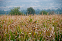 Th_dsc_0071
