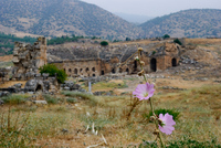 Th_dsc_0123