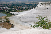 Th_dsc_0152