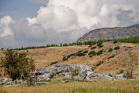 Th_dsc_0290