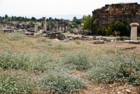 Th_dsc_0296