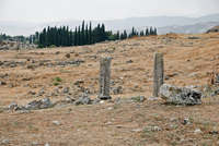 Th_dsc_0370