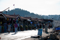 Th_dsc_9923