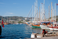 Th_dsc_9927