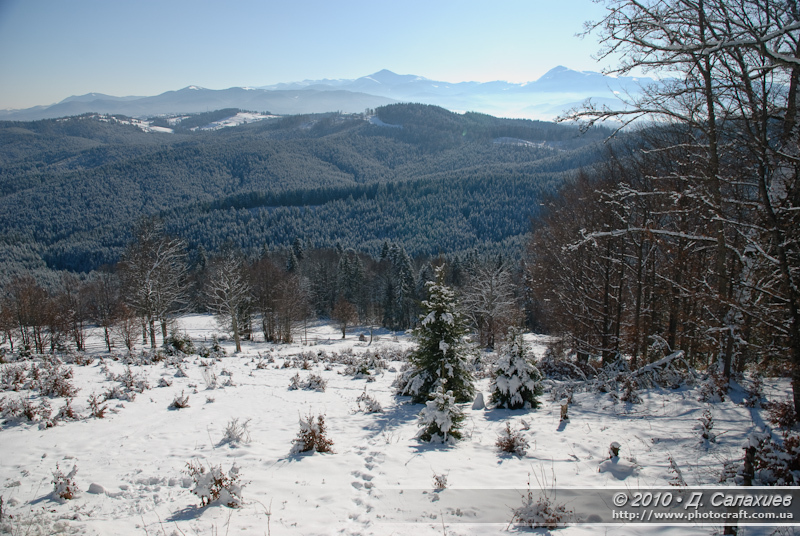 DSC_1233.jpg