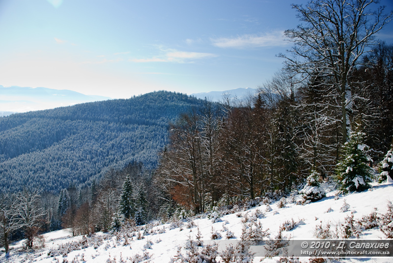 DSC_1237.jpg