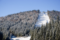 Th_dsc_1145