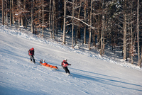 Th_dsc_1179