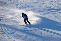 Th_dsc_1198