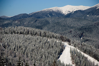 Th_dsc_1225