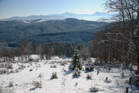 Th_dsc_1233